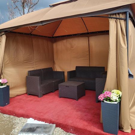Vila Ana Cu Terasa Gratar Si Jacuzzi Villa Satu Mare Dış mekan fotoğraf