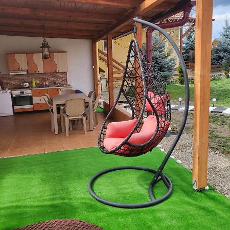 Vila Ana Cu Terasa Gratar Si Jacuzzi Villa Satu Mare Dış mekan fotoğraf
