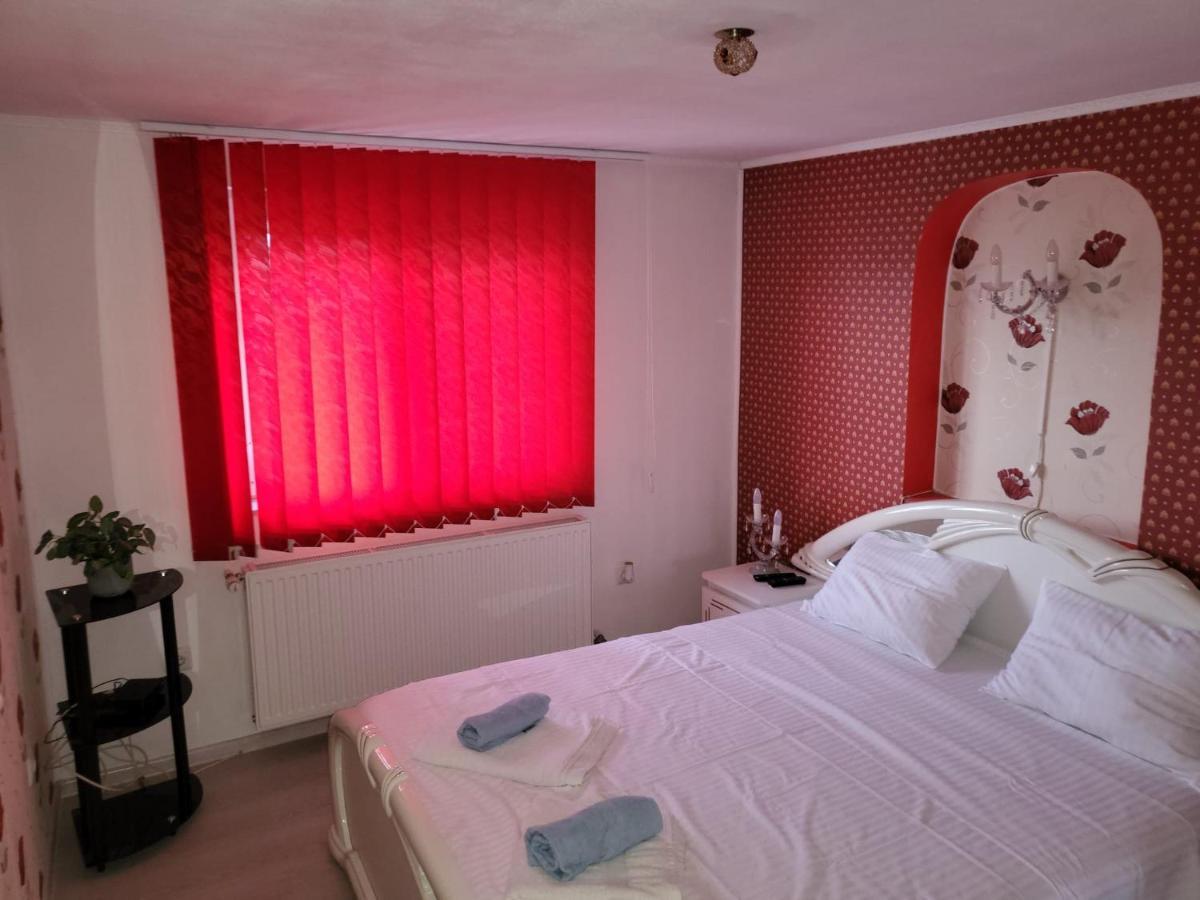 Vila Ana Cu Terasa Gratar Si Jacuzzi Villa Satu Mare Dış mekan fotoğraf