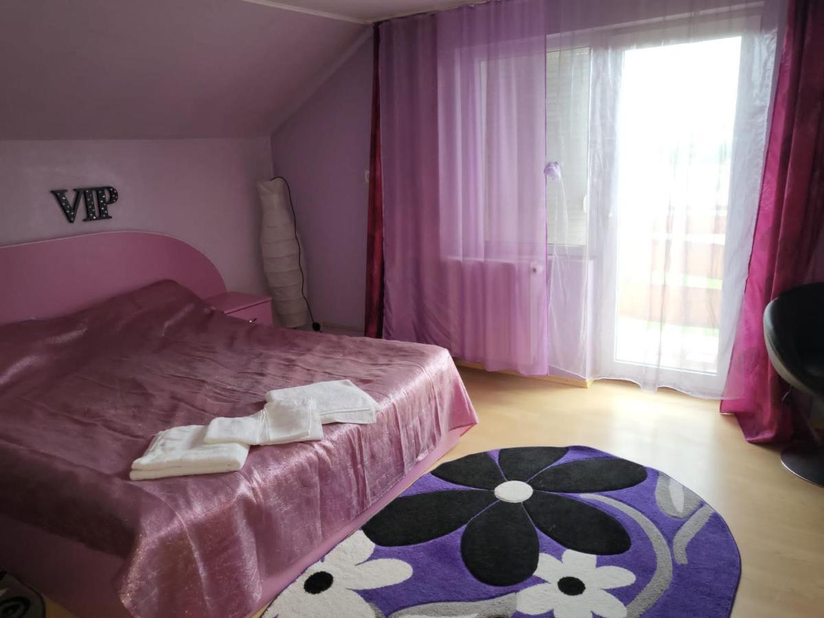 Vila Ana Cu Terasa Gratar Si Jacuzzi Villa Satu Mare Dış mekan fotoğraf