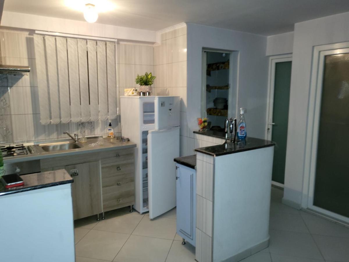 Vila Ana Cu Terasa Gratar Si Jacuzzi Villa Satu Mare Dış mekan fotoğraf