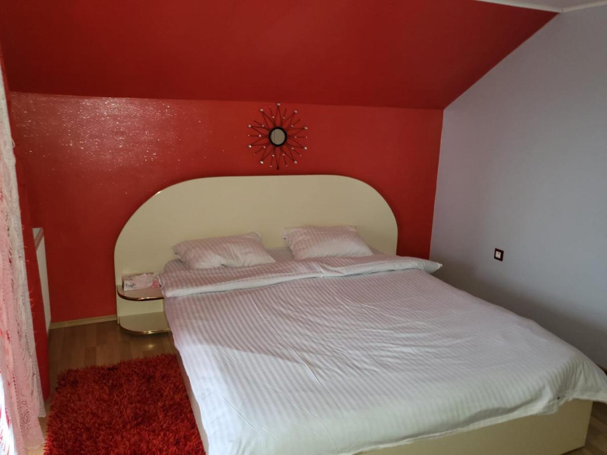 Vila Ana Cu Terasa Gratar Si Jacuzzi Villa Satu Mare Dış mekan fotoğraf