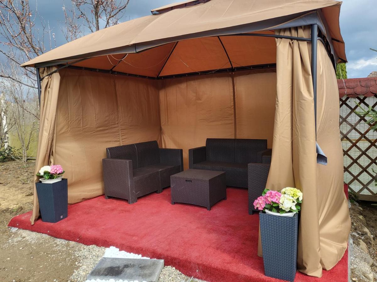 Vila Ana Cu Terasa Gratar Si Jacuzzi Villa Satu Mare Dış mekan fotoğraf